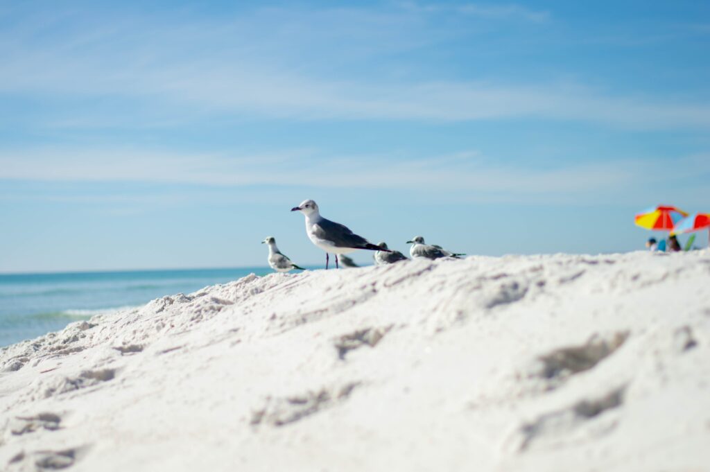 Santa Rosa Beach