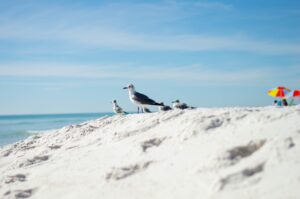 Santa Rosa Beach