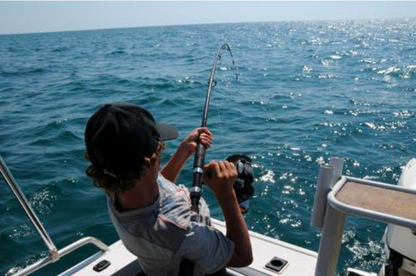 Grandes dicas de pesca que deve conhecer