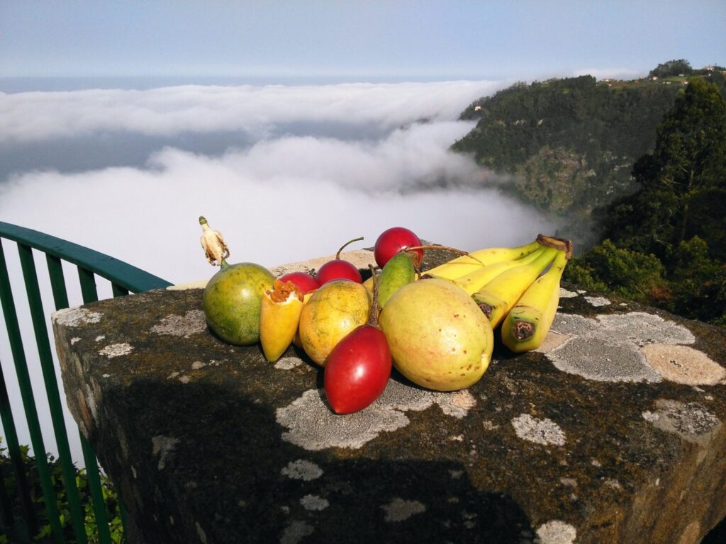 Tropical fruit in madeira