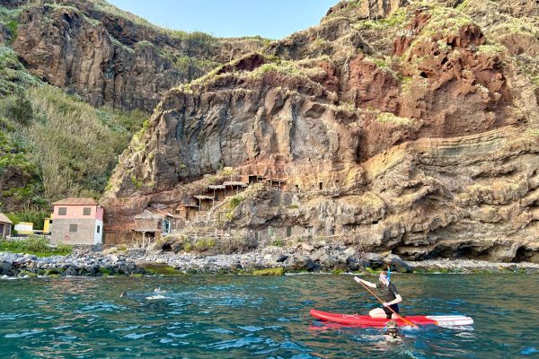 10305-half-day-private-cruise-with-snorkeling-and-paddleboarding-in-madeira-1685347881