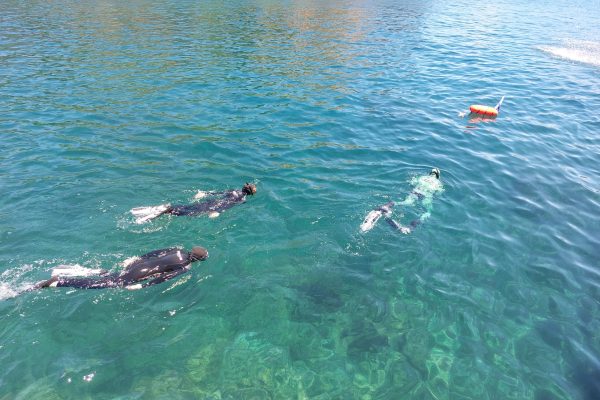 10341-boat-tour-at-ilheu-das-cabras-with-snorkeling-1662634585