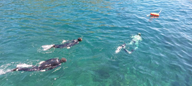 10341-boat-tour-at-ilheu-das-cabras-with-snorkeling-1662634585