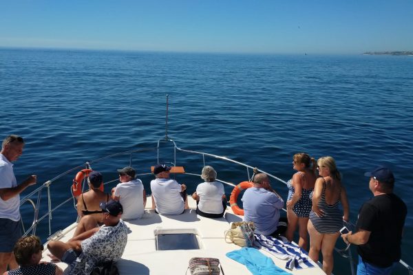 10364-dolphin-watching-yacht-cruise-in-fuengirola-1662992766