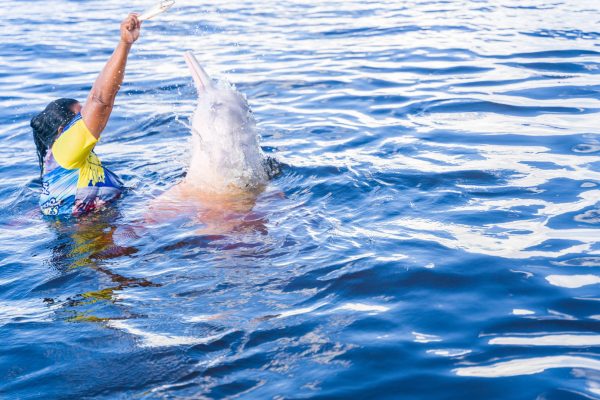 10828-boat-tour-with-dolphins-and-to-an-indigenous-village-from-manaus-1673022140