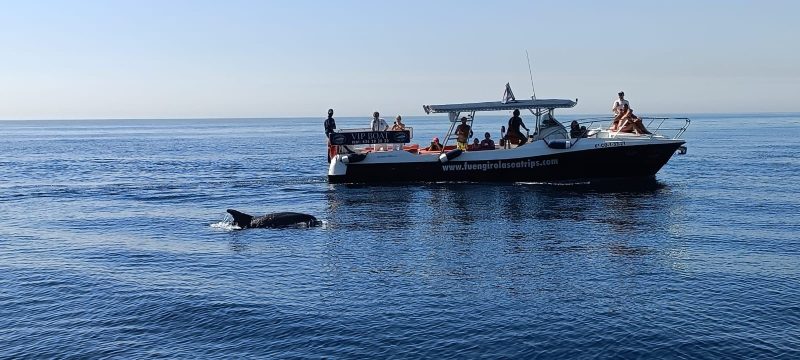 10932-dolphin-spotting-in-fuengirola-1666526377