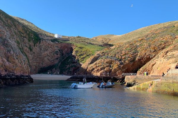 11230-berlenga-islands-1669998409