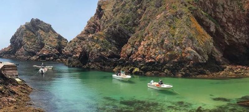 11240-boat-trip-to-berlenga-island-with-snorkeling-1670166845