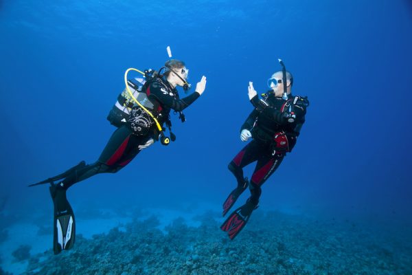 11296-first-scuba-dive-in-the-ocean-in-sesimbra-1670503520