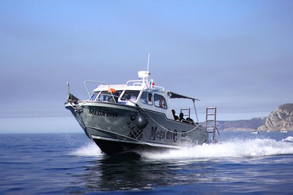 11299-first-scuba-dive-in-the-ocean-in-sesimbra-1670503520