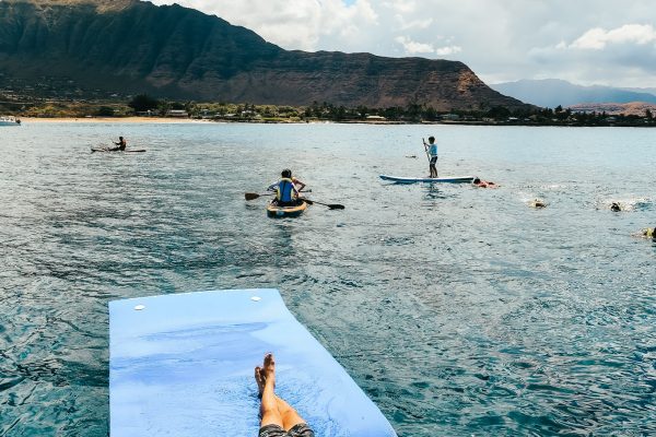 11508-swimming-with-dolphins-from-waikiki-1675273114