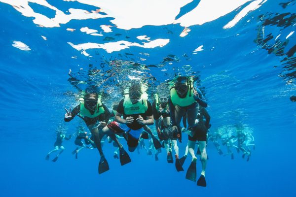 11532-snorkeling-waianae-1670851479