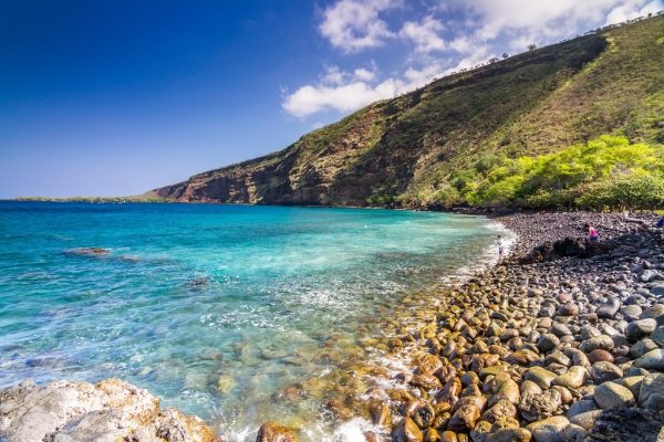 11639-snorkel-at-kealakekua-bay-1671093877