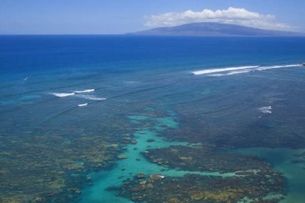 11854-kayak-with-whales-and-turtles-at-olowalu-1671039126