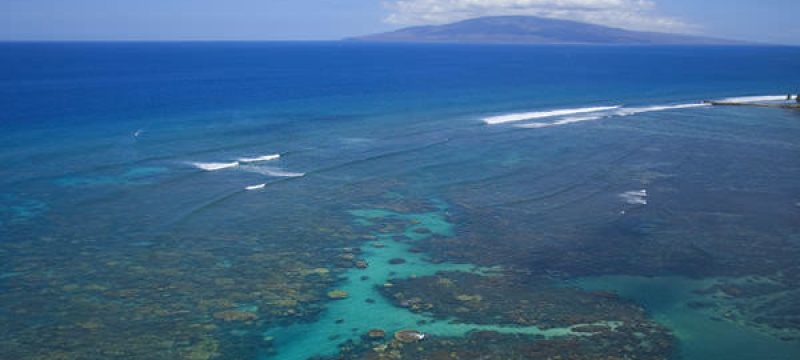 11854-kayak-with-whales-and-turtles-at-olowalu-1671039126