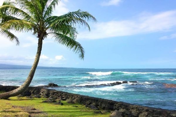 11897-sea-turtle-lagoon-and-black-sand-beach-snorkel-in-hilo-1671043460