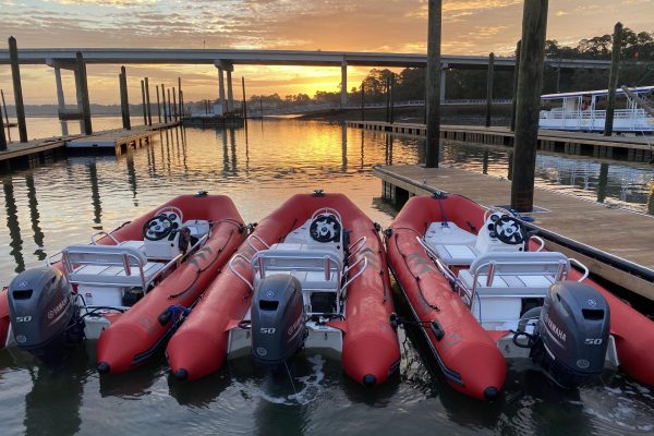 12090-mini-boat-dolphin-tour-in-hilton-head-1671299064