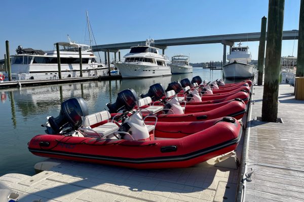 12094-mini-boat-dolphin-tour-in-hilton-head-1671299064