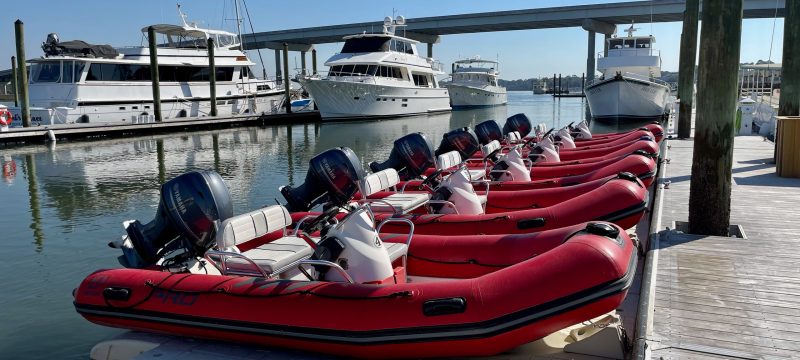 12094-mini-boat-dolphin-tour-in-hilton-head-1671299064