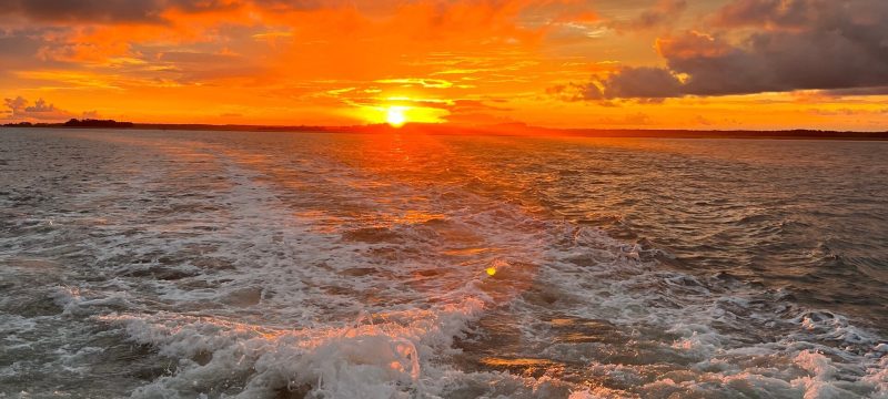 12109-sunset-dolphin-tour-in-hilton-head-1674841735