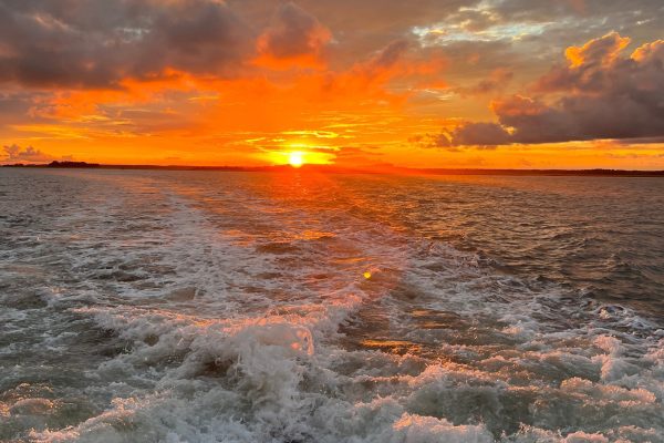 12109-sunset-dolphin-tour-in-hilton-head-1674841735