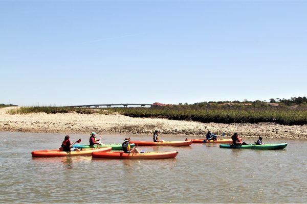 12150-guided-kayak-tour-around-hilton-head-1671293739