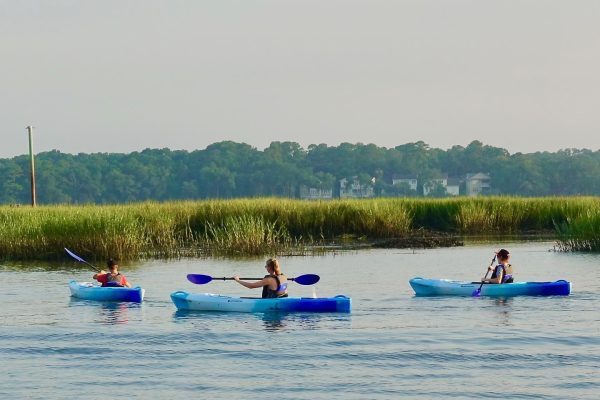 12407-kayak-coffee-tour-in-hilton-head-1671458684