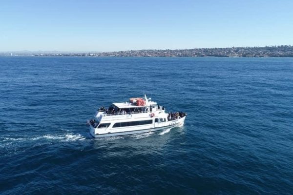 12771-whale-watching-tour-in-san-diego-1671809048