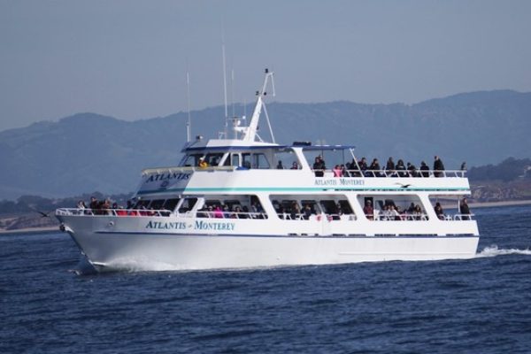 13047-whale-watching-cruise-in-monterey-1672166654