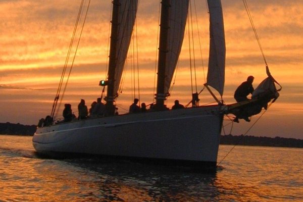 13336-sunset-sailing-tour-in-new-york-1672424108