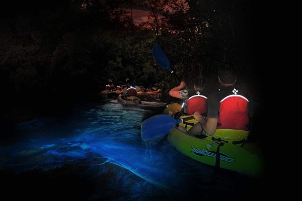 13837-night-kayak-bay-tour-in-las-croabas-1672940531