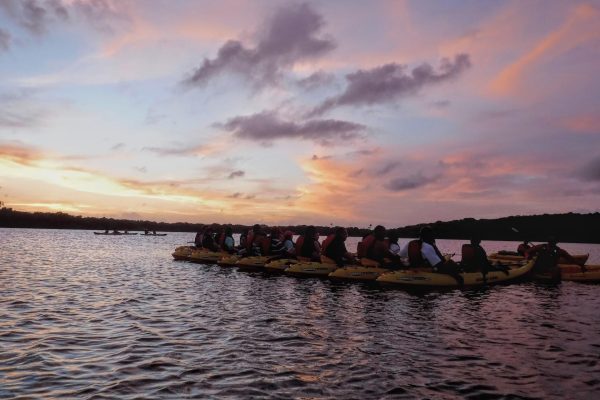 13841-night-kayak-bay-tour-in-las-croabas-1672940531