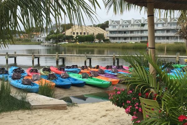 13911-sup-or-kayak-rentals-by-the-bay-in-dewey-beach-1675786291