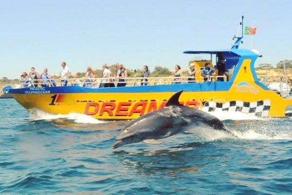 1395-dolphins-albufeira-1575397565