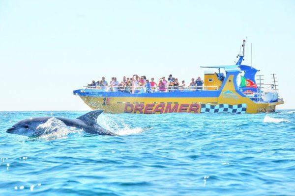 1397-dolphin-albufeira-1575397565