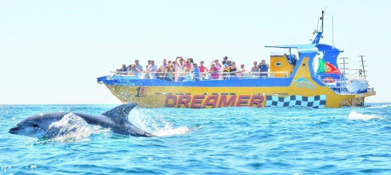 1397-dolphin-albufeira-1575397565