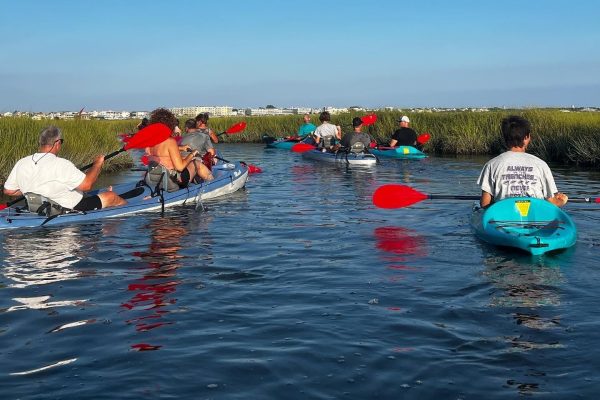 13988-sunset-kayak-tour-in-rehoboth-bay-1675782642