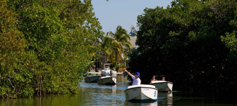 14111-safari-boat-tour-in-key-west-1674666437