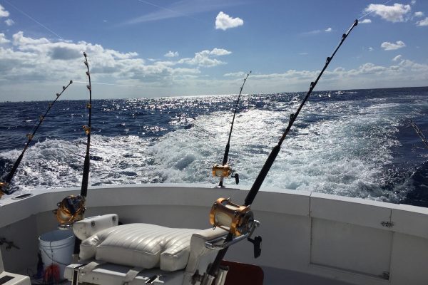 14306-private-half-day-deep-fishing-in-providenciales-1673449553