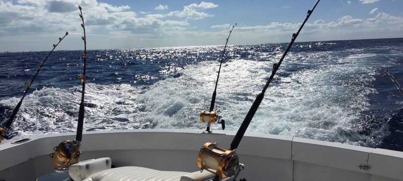 14306-private-half-day-deep-fishing-in-providenciales-1673449553