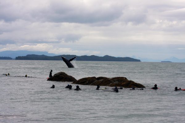 14811-snorkeling-tour-in-ketchikan-1673715518