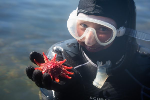 14812-snorkeling-tour-in-ketchikan-1673715518