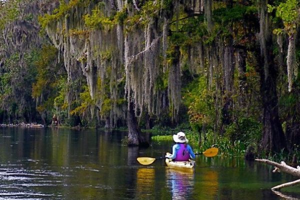 15000-adventures-kayak-tour-in-orlando-1674058341