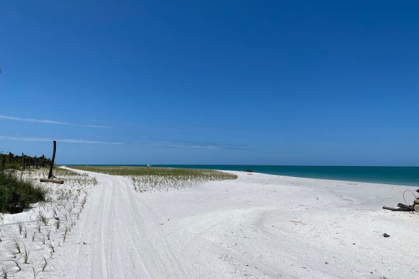 15083-st-pete-pier-cruise-to-egmont-key-1673995832