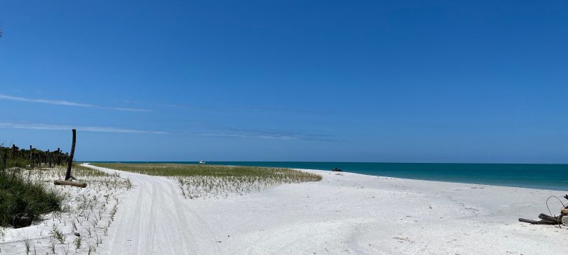 15083-st-pete-pier-cruise-to-egmont-key-1673995832