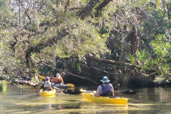 15185-adventures-kayak-tour-in-orlando-1674061361