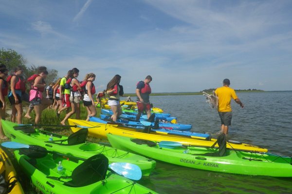 16852-wildlife-kayak-tour-in-maryland-1676053452