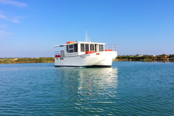 1694-ria-formosa-by-ferry-from-olhao-1575397680