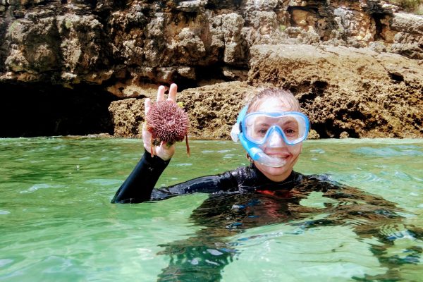 17416-snorkeling-around-arrabida-1677084620