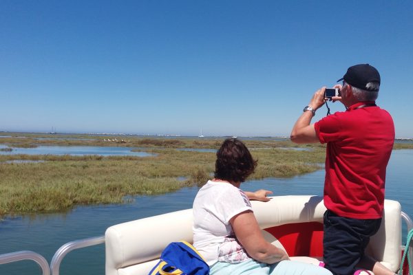 17965-birdwatching-and-nature-cruise-in-ria-formosa-1678125405